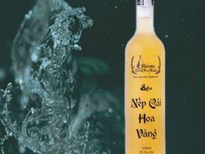 Rượu nếp cái hoa vàng